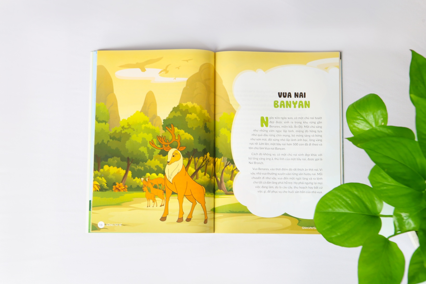 Sách Sống Tử Tế - Ảnh 6