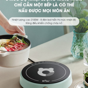 Bếp Từ Bear SB-BT21W - English