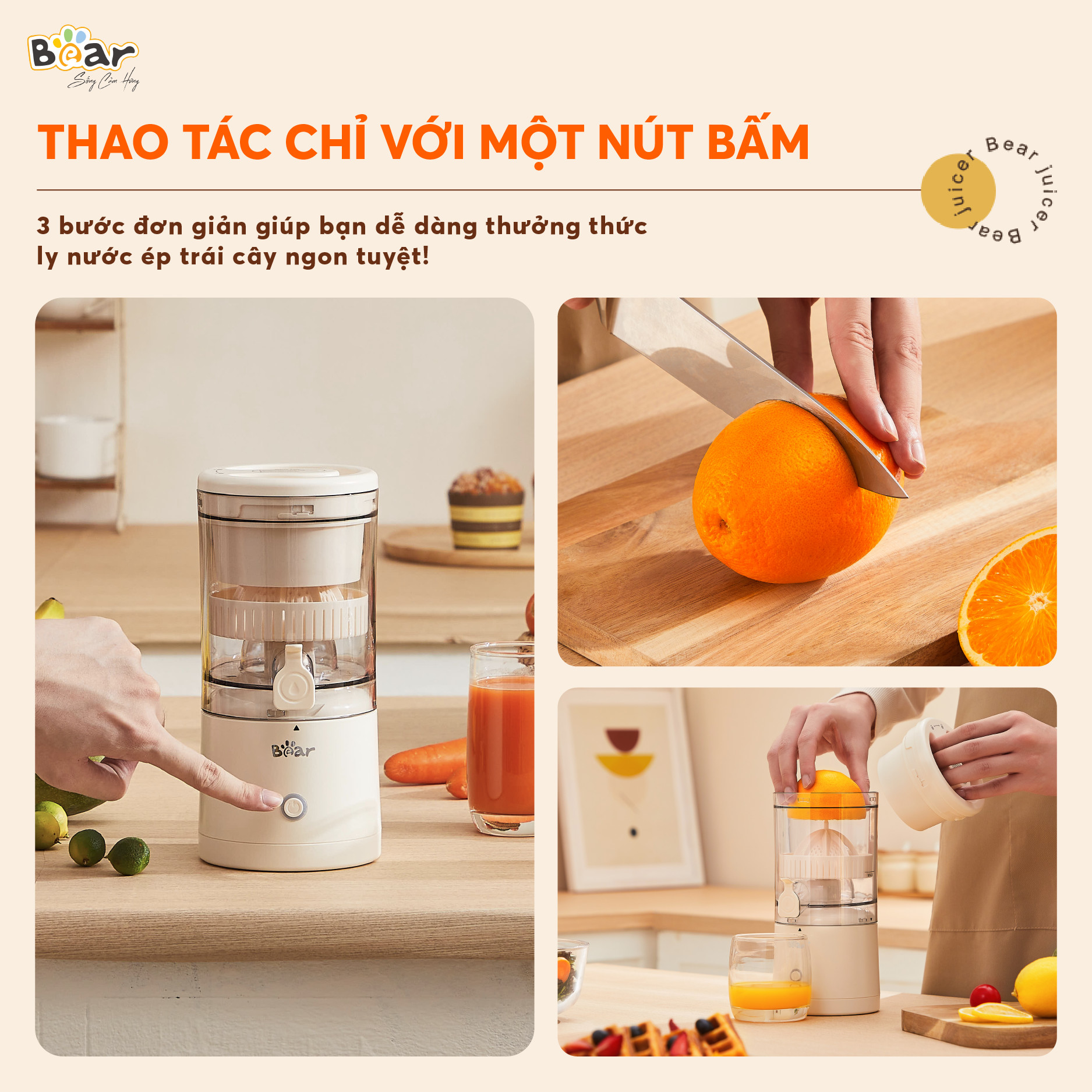 Máy vắt cam Bear Model: ZZJ-F45A5 - Ảnh 3