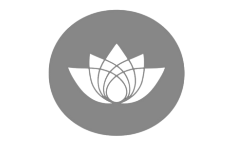 Logo Hachi Việt Nam